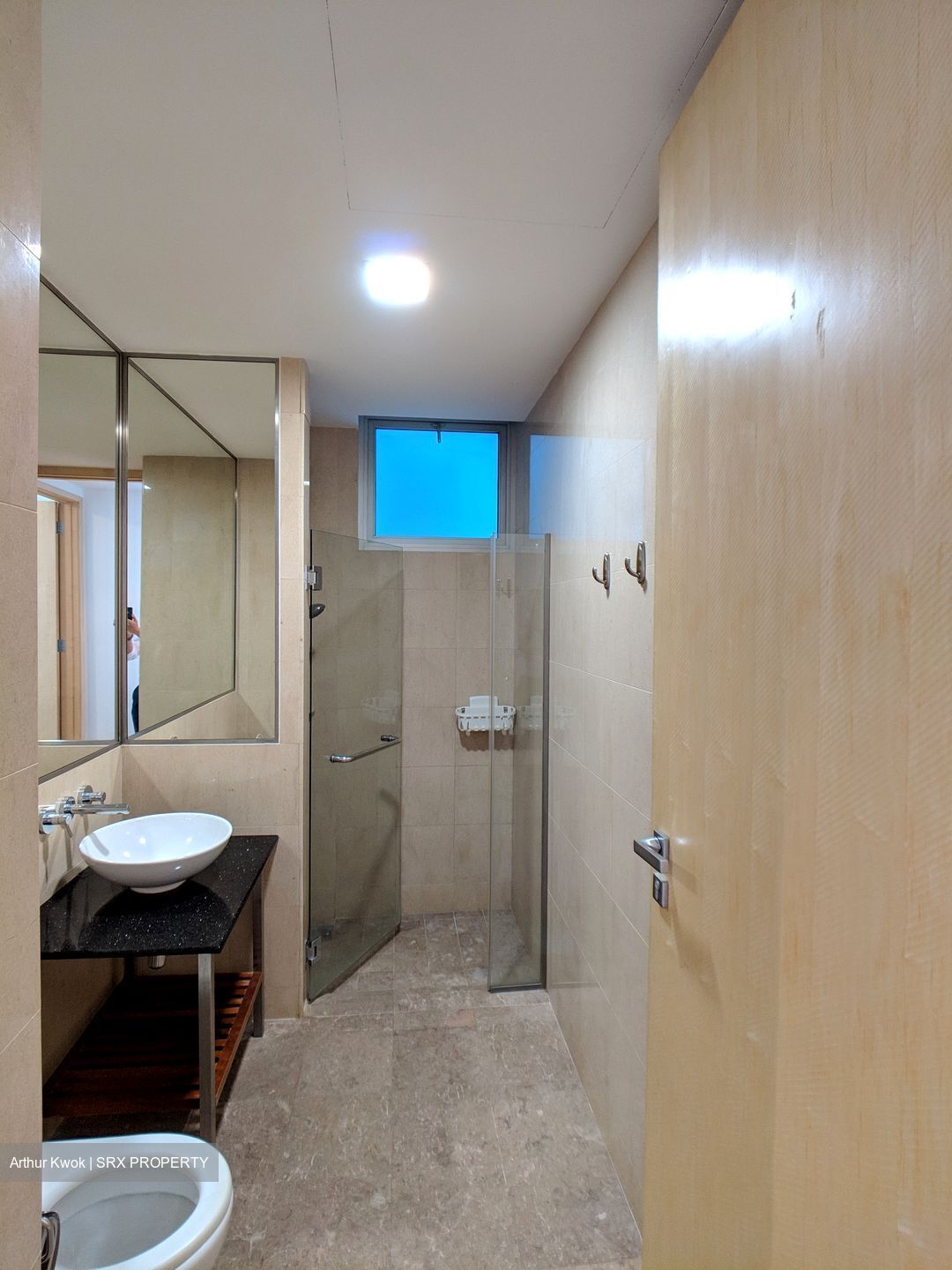 Cairnhill Crest (D9), Condominium #569286681